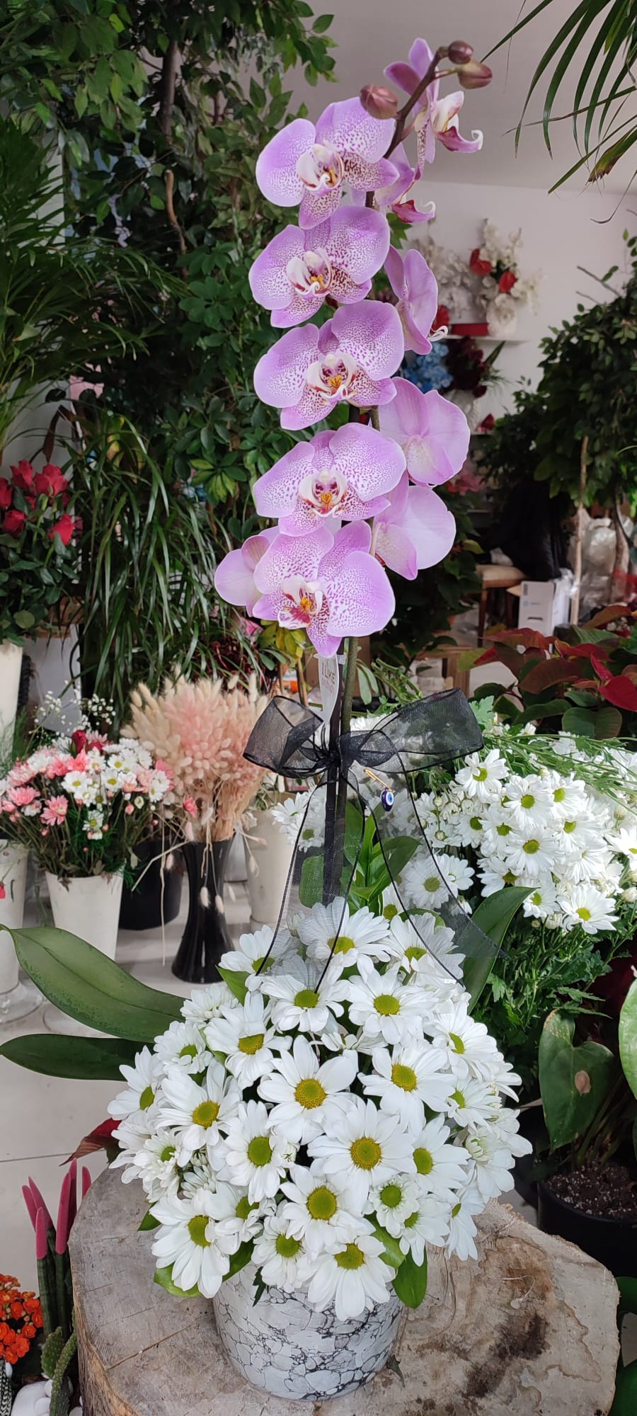Orkideli Papatya Arajman